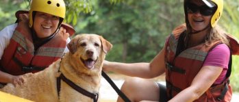 Rafting Brotas | Rafting para Pets Rafting em Brotas